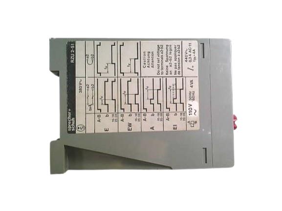 SPRECHER & SCHUH RZU2-51/60S-4HR