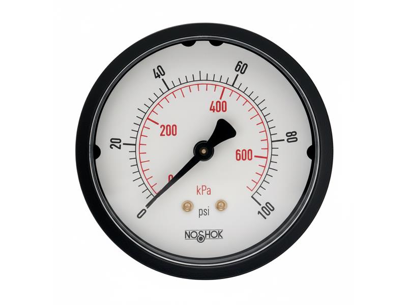NOSHOK 25-110-160-PSI/KPA-PMC