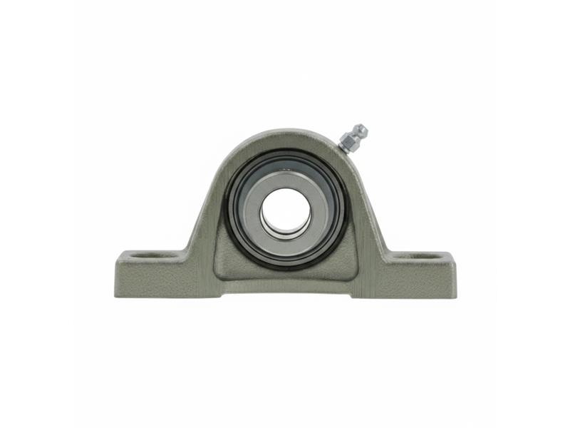 SCHAEFFLER GROUP PASE20-XL-N