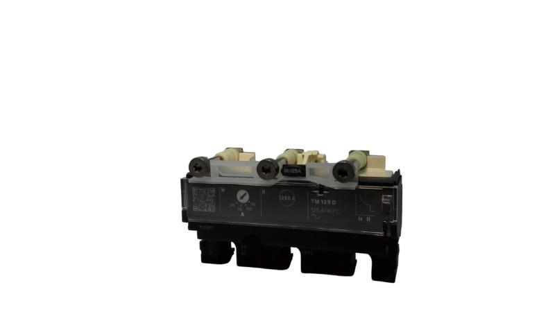 SCHNEIDER ELECTRIC C163TM125