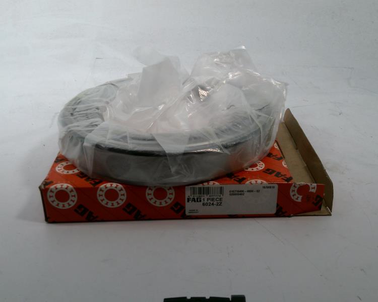 SCHAEFFLER GROUP 6024-2Z