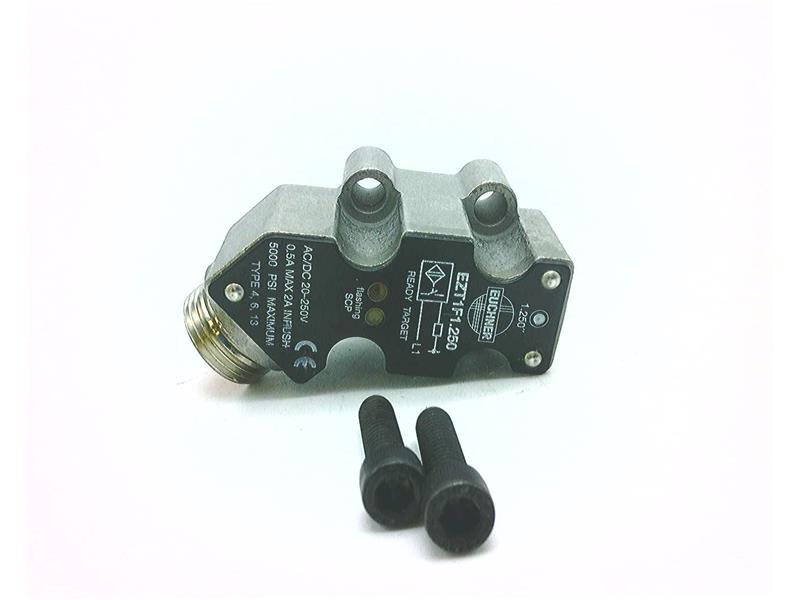 EUCHNER EZT1F1.250-V