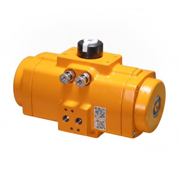 ASSURED AUTOMATION FDA100