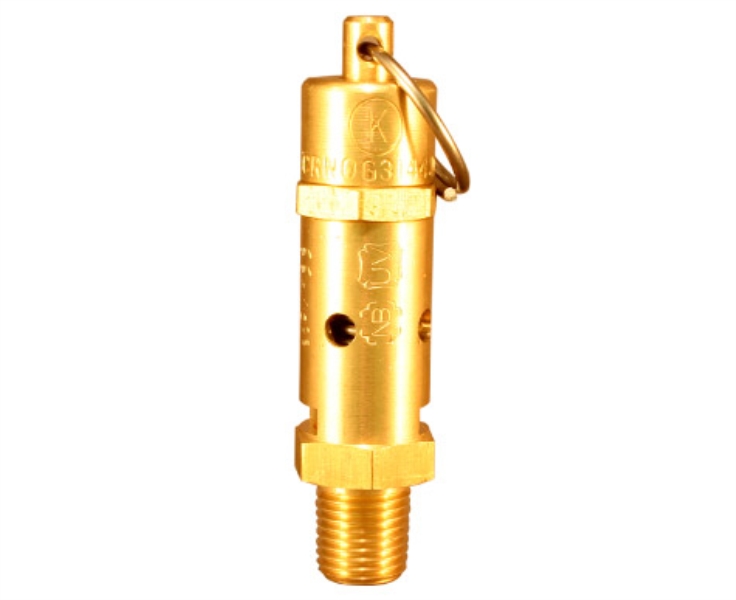 KINGSTON VALVE 118CSS-2-100