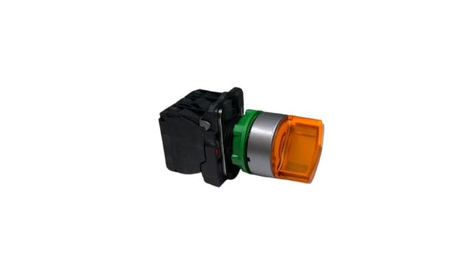 SCHNEIDER ELECTRIC XB5AK135G5C0