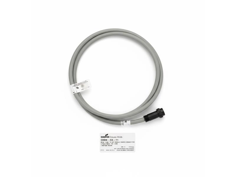 EATON CORPORATION CHDN-CA-T1