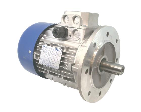 MOTORI ELETTRICI TN90S/4B5