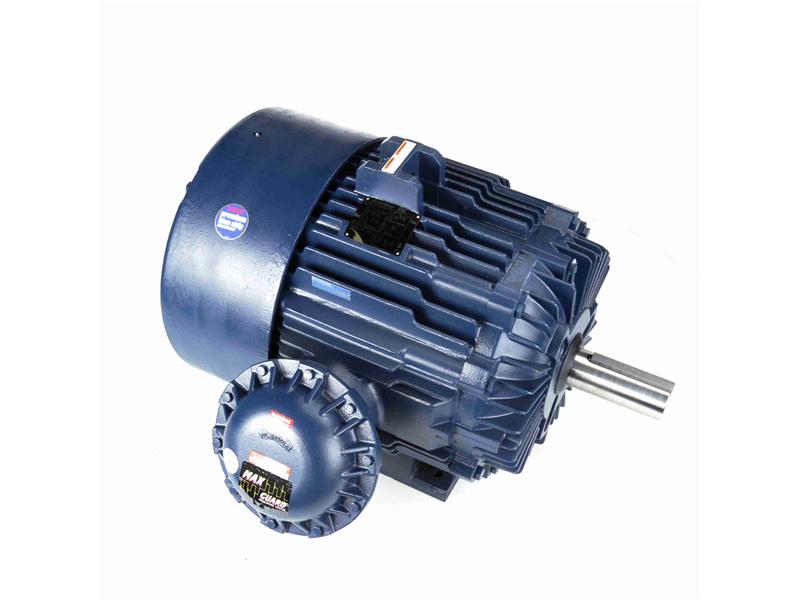 REGAL REXNORD 445TTGN16544