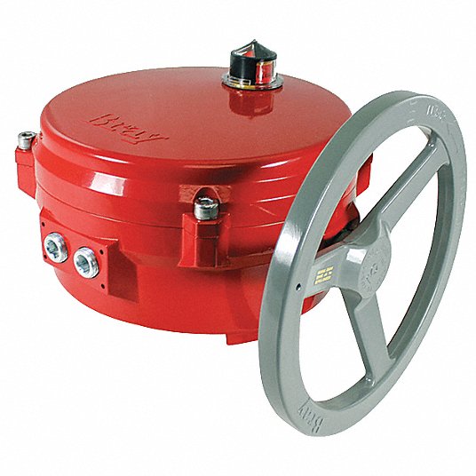 BRAY 701816-113DA536