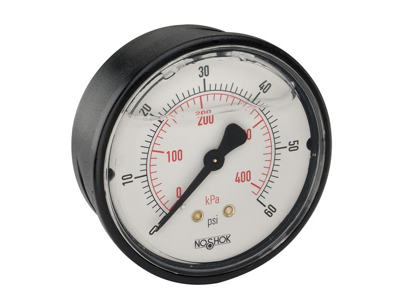 25-910-1500-PSI/KPA by NOSHOK