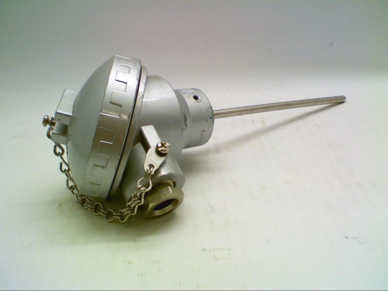 BAUMER ELECTRIC PT100/3W/A