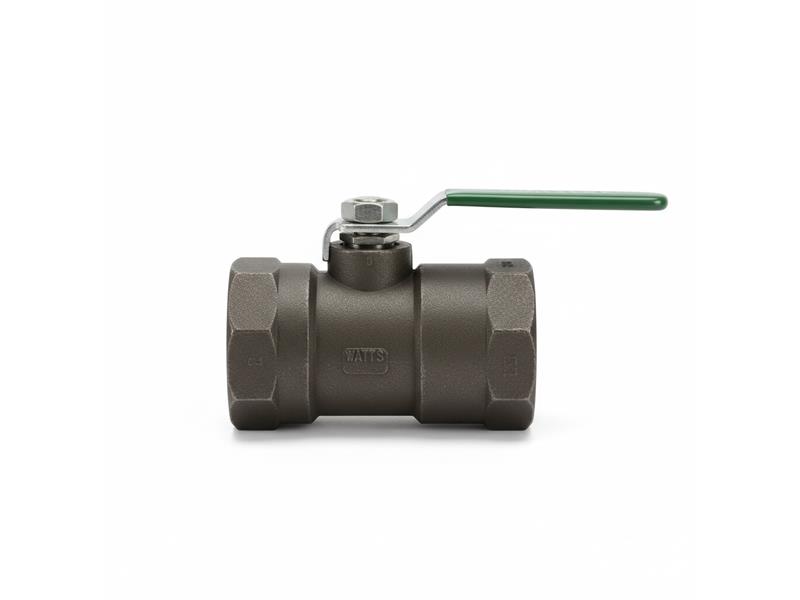 WATTS 1-1/2-7100-02-SS-SH