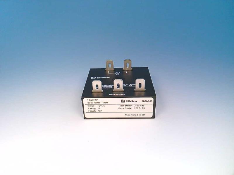 TS6123P by ASEA BROWN BOVERI