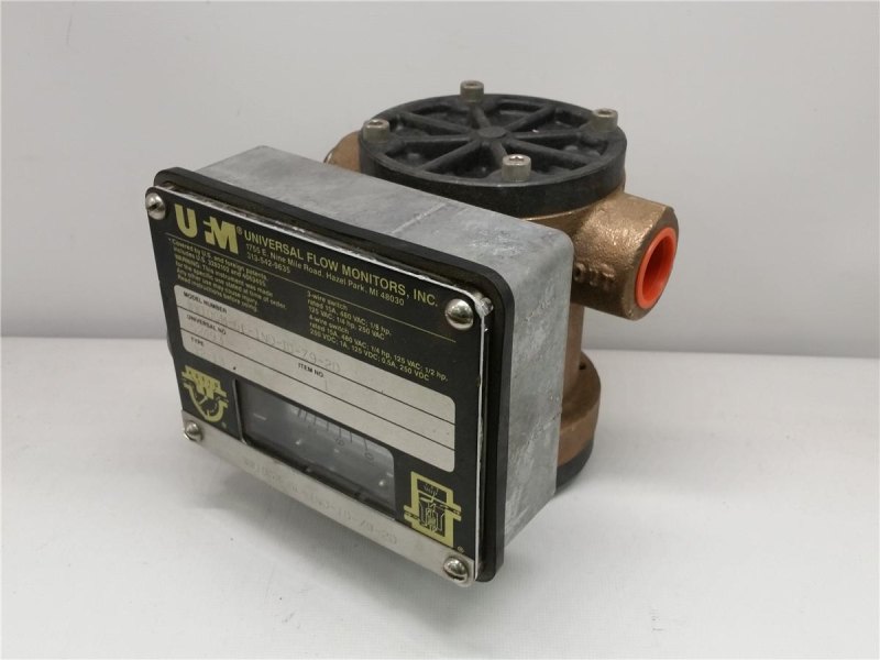 UNIVERSAL FLOW MONITORS WW10GM-6L-1ND-ID-Z9-2D