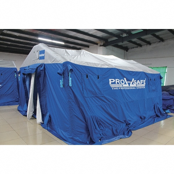 PRO SAFE INC NH365