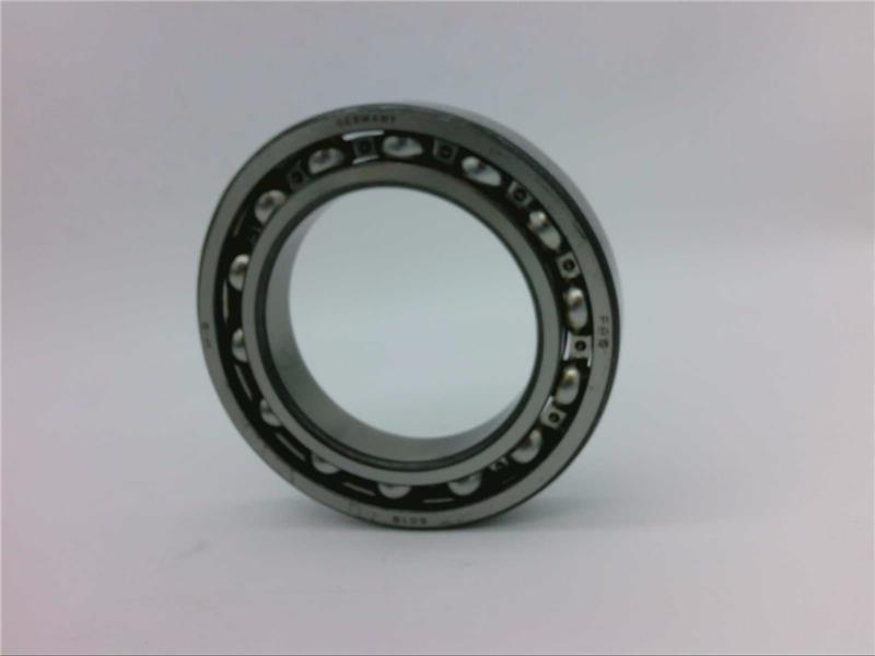 SCHAEFFLER GROUP 6018-C4