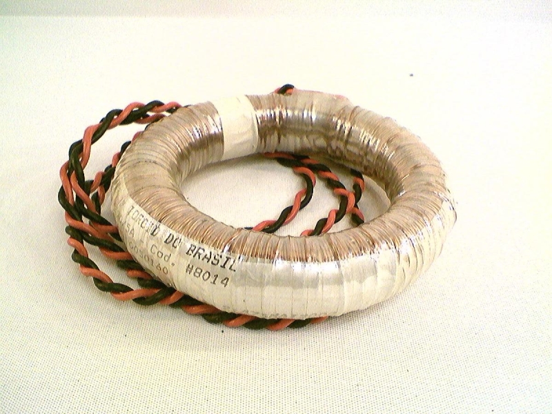 TOROID 10050160