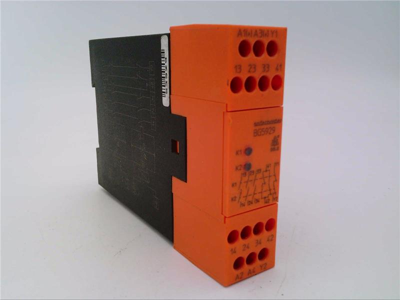 DOLD BG5929.04/100 AC/DC24V