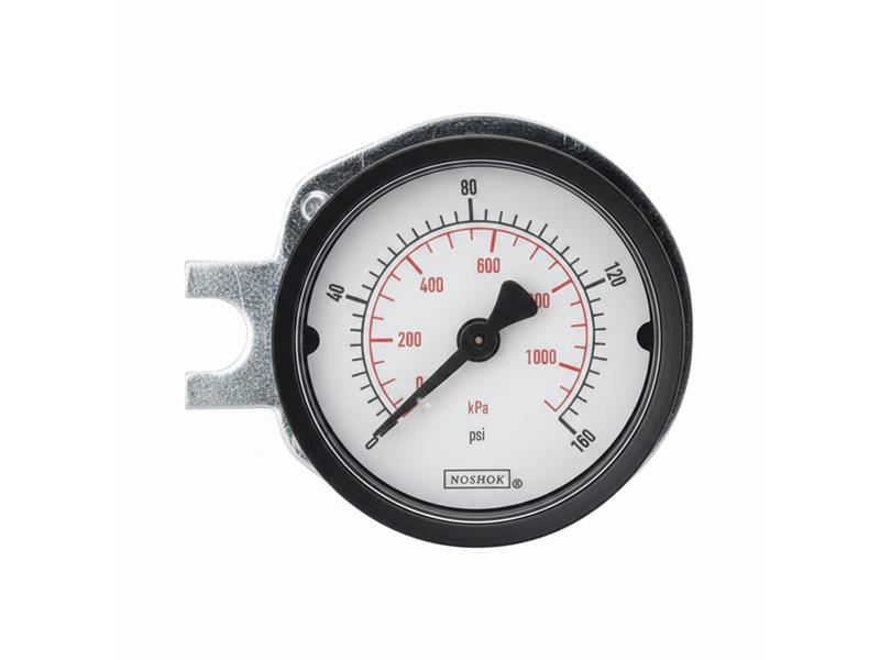 20-110-300-PSI/KPA-SSB-PMC-BP3 by NOSHOK