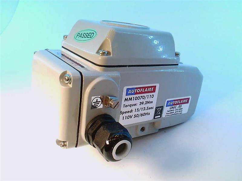 AUTOFLAME ENGINEERING MM10070/110