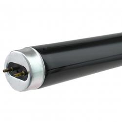 F10T10 BLB by HEGUCHI