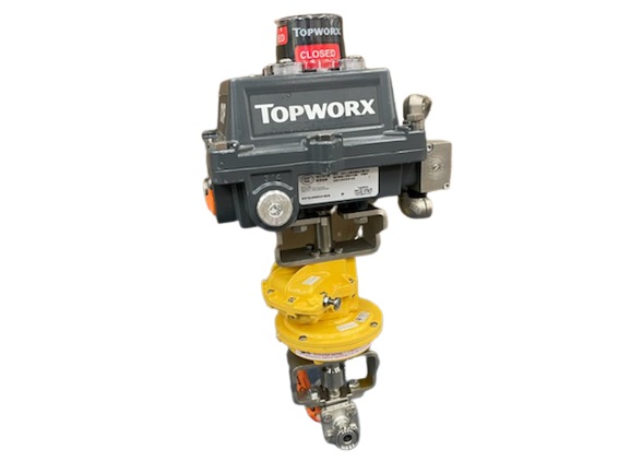 TOPWORX DXP-L2WGS4B1621