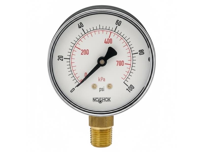 NOSHOK 25-100-200-PSI/KG/CM2-BCR