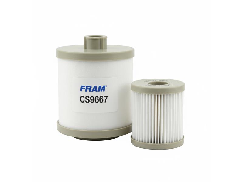 FRAM CS9667