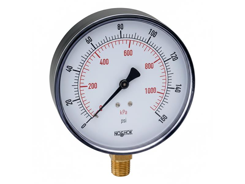 NOSHOK 40-300-100-PSI-BFF-BT8