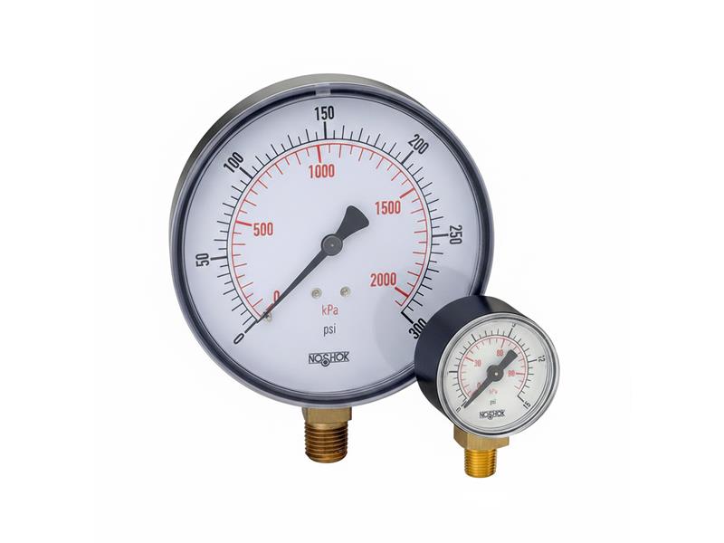 NOSHOK 25-110-100-PSI/KPA-CFF-O2