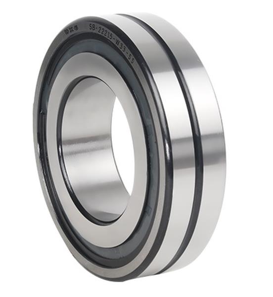 REGAL REXNORD SB 22220 W33 SS