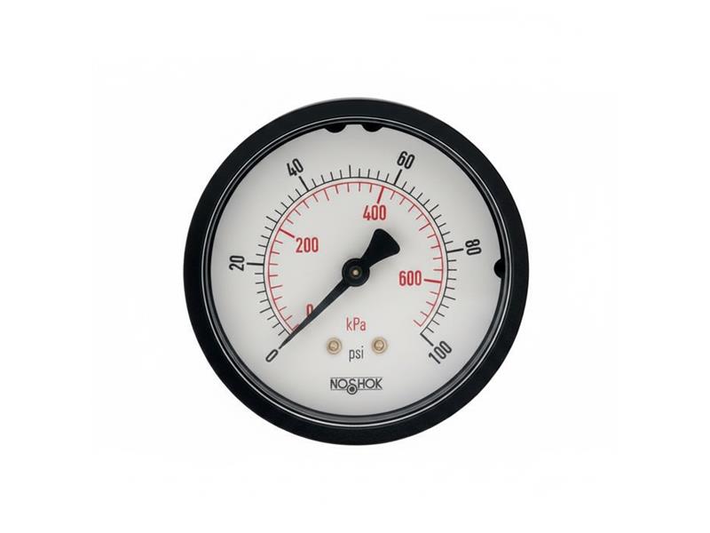 NOSHOK 25-110-6000-PSI/KPA-PMC-CC