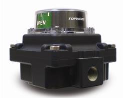 TOPWORX TXS-P20YNPM