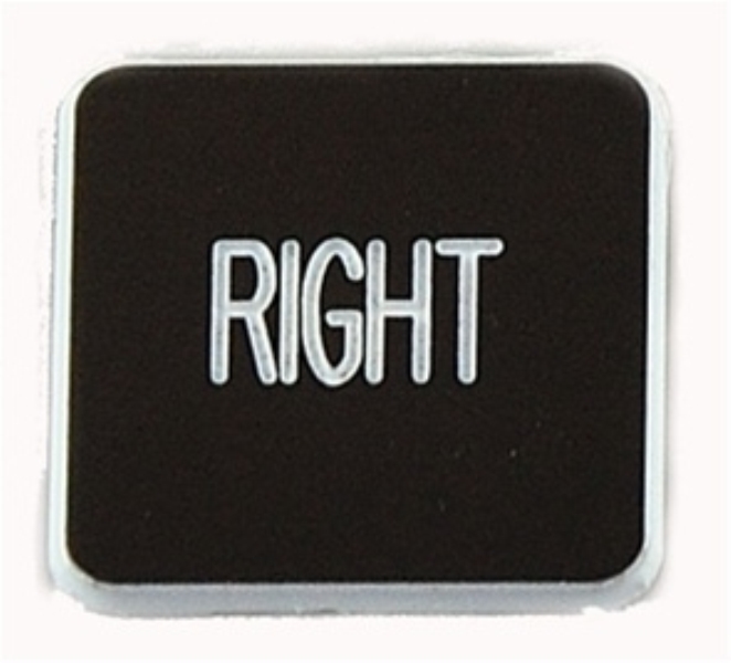 SHAMROCK RB2-BY2309-PSQ