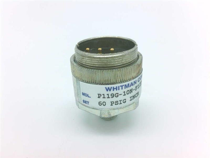 WHITMAN CONTROLS P119G-10N-F12T