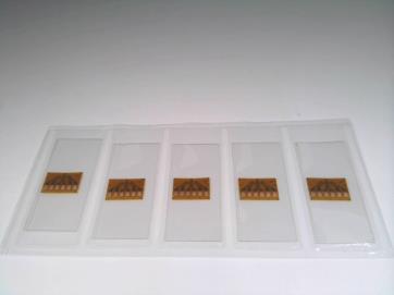 MICRO MEASUREMENTS CEA-13-125UR-350