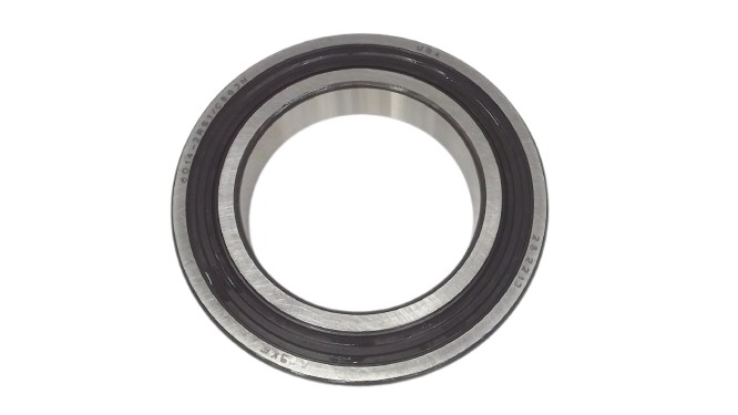 SKF 6014 2RSJEM