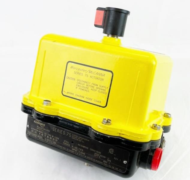 FLOWSERVE 1075-5X-120A