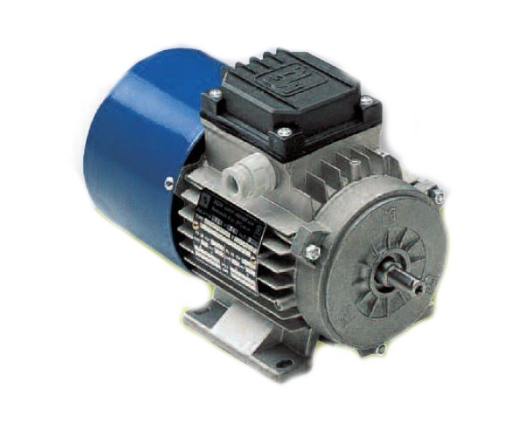 MGM ELECTRIC MOTORS BAE 80 B4