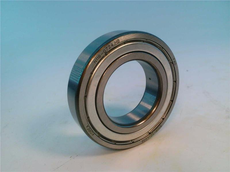 SCHAEFFLER GROUP 6006-2Z-L038