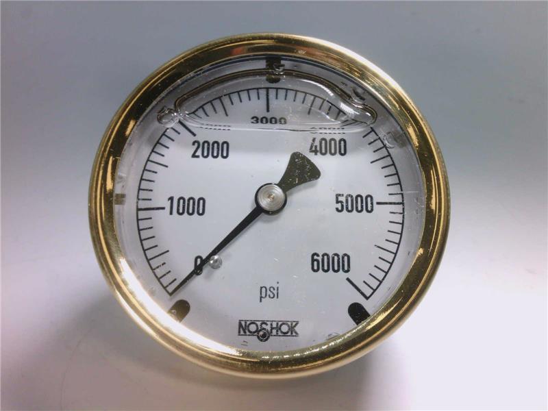 NOSHOK 25-310-6000-PSI