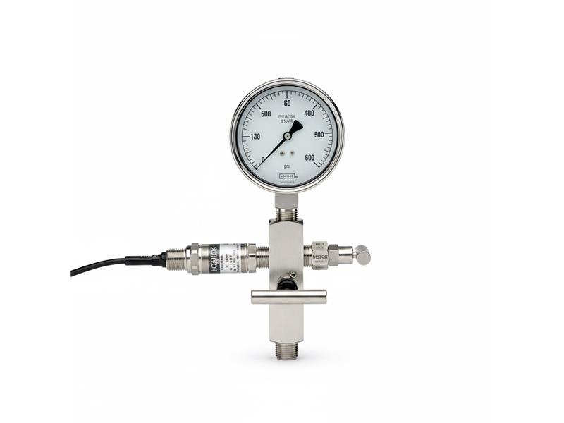 NOSHOK 20-110-60-PSI/BAR-PMC-CC