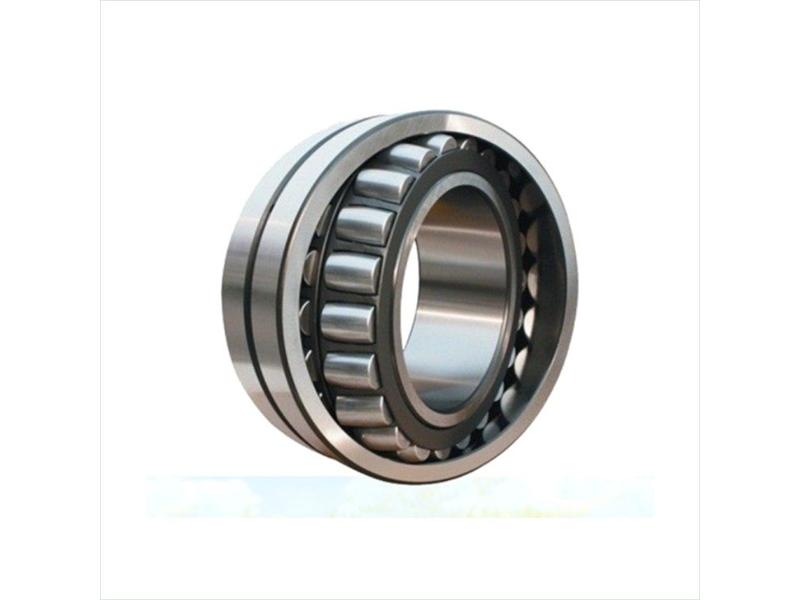 SCHAEFFLER GROUP 21318E1.TVPB