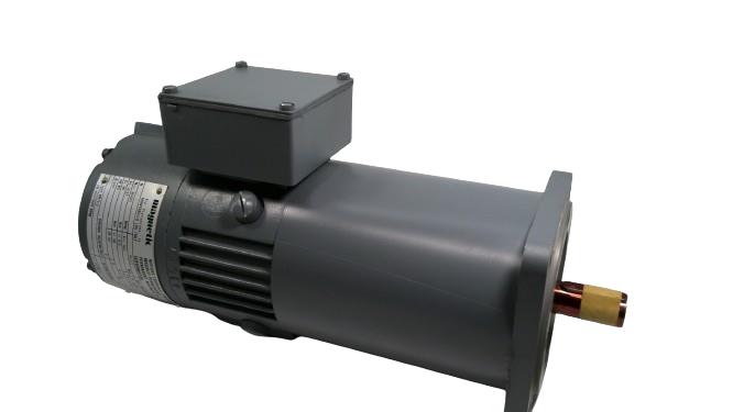 MAGNETIC MOTORS BR60S30/12