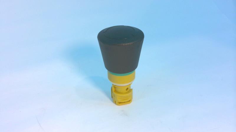 SIEMENS 3SB3000-1HA10