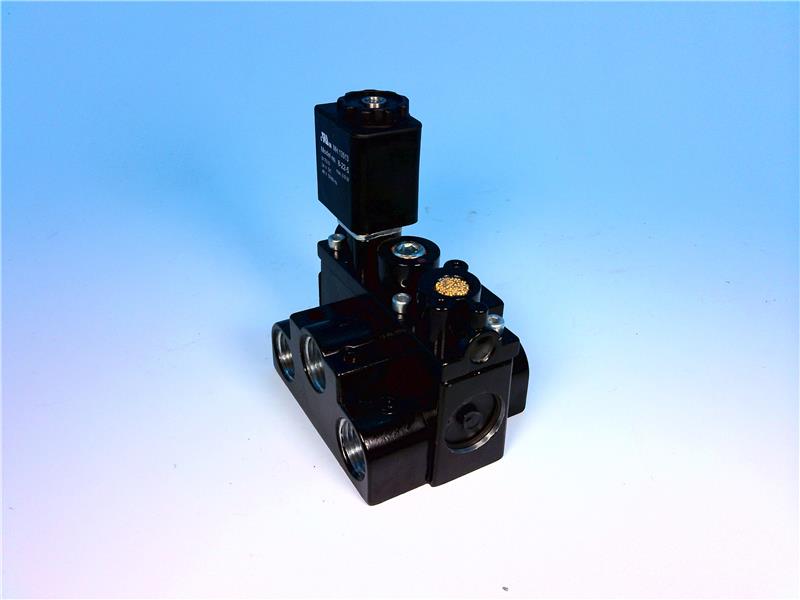 INGERSOLL RAND A213SS-024-L