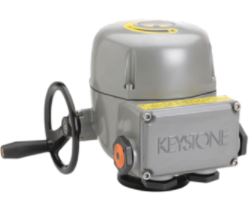 E051AHW5000 by PENTAIR