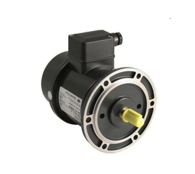 BAUMER ELECTRIC TDP0,2 LT-4 B10 55