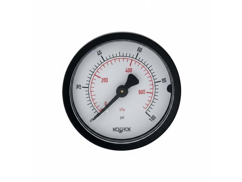 20-110-200-PSI/KG/CM2-SSB-PMC-CC by NOSHOK