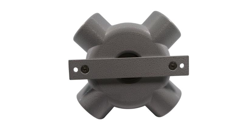 CORTEM GROUP SX39.1N